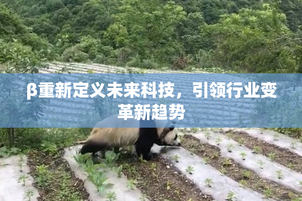 β重新定义未来科技，引领行业变革新趋势