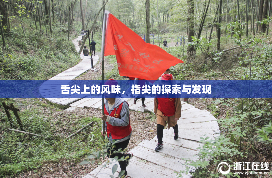舌尖上的风味，指尖的探索与发现