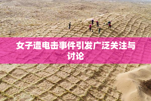 女子遭电击事件引发广泛关注与讨论