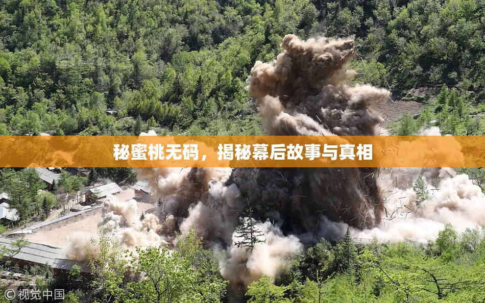 秘蜜桃无码，揭秘幕后故事与真相