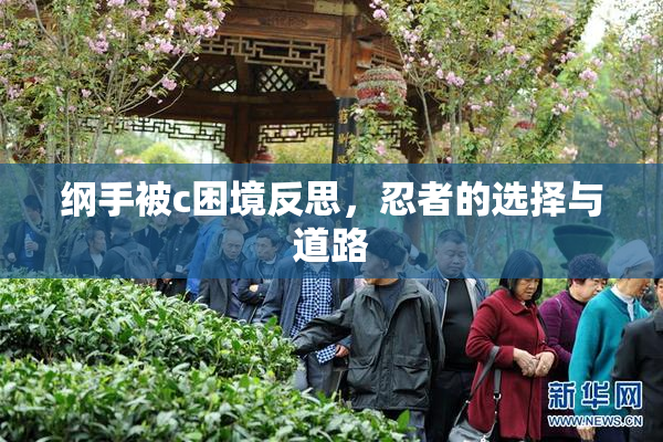 纲手被c困境反思，忍者的选择与道路