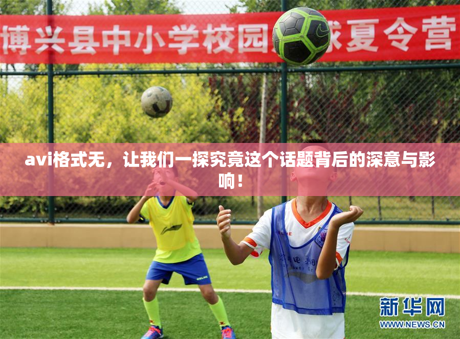 avi格式无，让我们一探究竟这个话题背后的深意与影响！