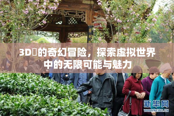 3D姉的奇幻冒险，探索虚拟世界中的无限可能与魅力