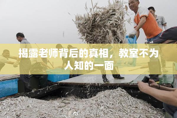 揭露老师背后的真相，教室不为人知的一面