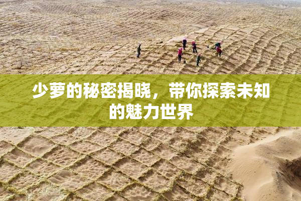 少萝的秘密揭晓，带你探索未知的魅力世界