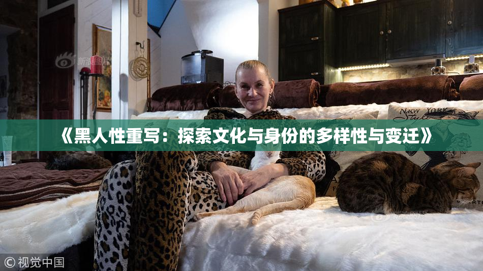 《黑人性重写：探索文化与身份的多样性与变迁》