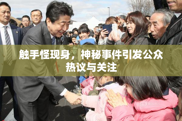 触手怪现身，神秘事件引发公众热议与关注