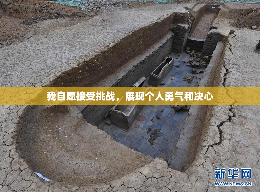 我自愿接受挑战，展现个人勇气和决心