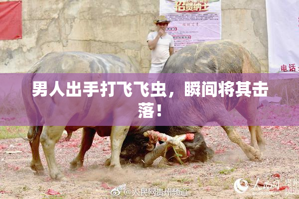 男人出手打飞飞虫，瞬间将其击落！