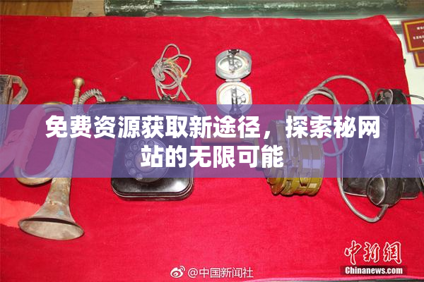 免费资源获取新途径，探索秘网站的无限可能