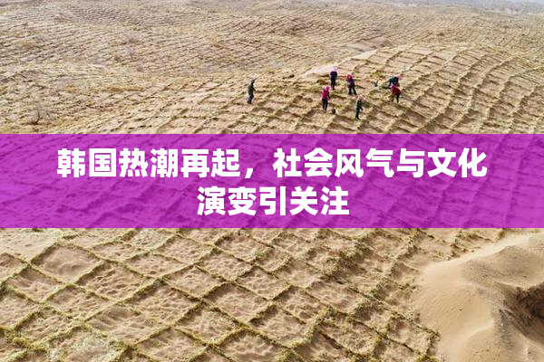 韩国热潮再起，社会风气与文化演变引关注