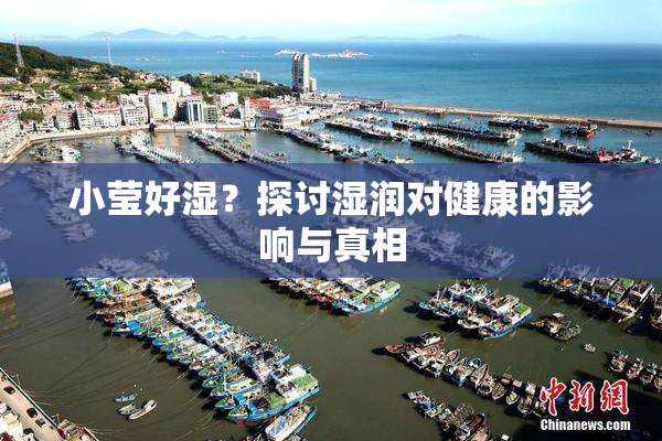 小莹好湿？探讨湿润对健康的影响与真相