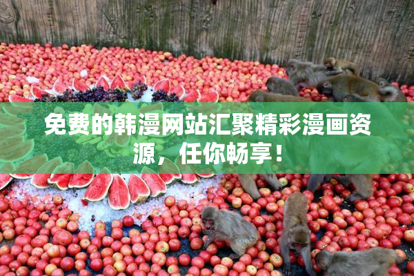 免费的韩漫网站汇聚精彩漫画资源，任你畅享！