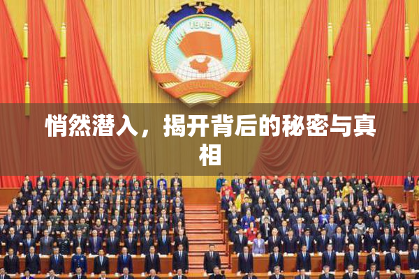 悄然潜入，揭开背后的秘密与真相