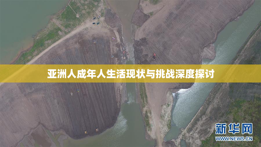 亚洲人成年人生活现状与挑战深度探讨