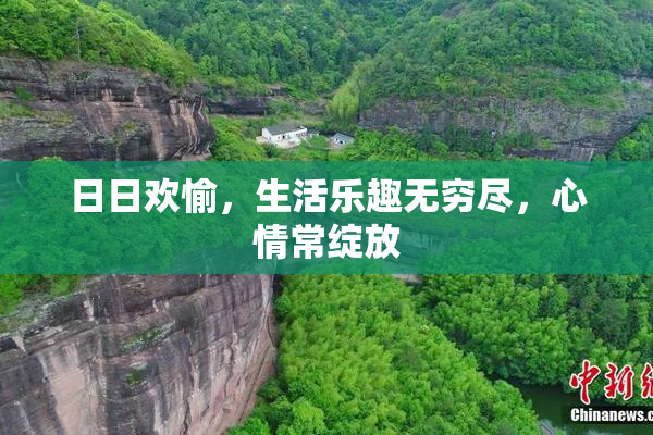 日日欢愉，生活乐趣无穷尽，心情常绽放