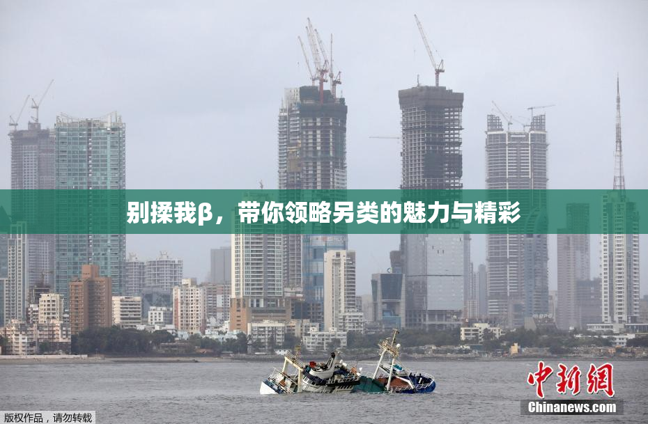 别揉我β，带你领略另类的魅力与精彩