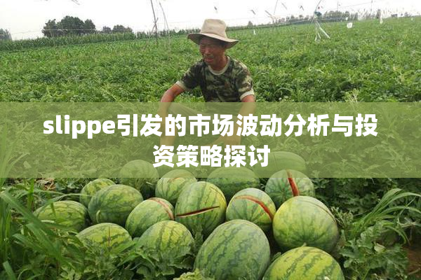 slippe引发的市场波动分析与投资策略探讨
