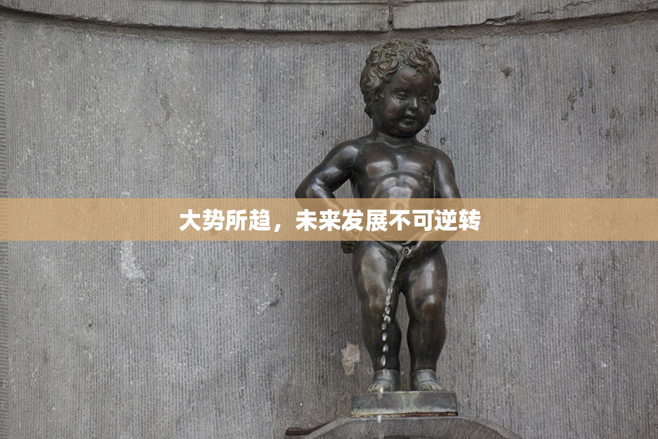 大势所趋，未来发展不可逆转