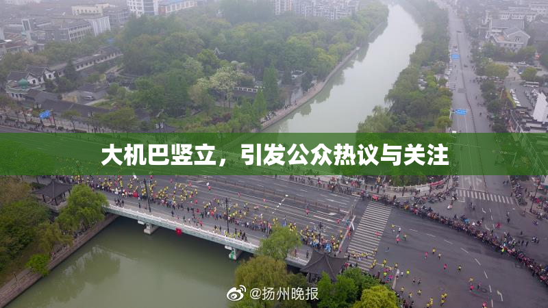 大机巴竖立，引发公众热议与关注