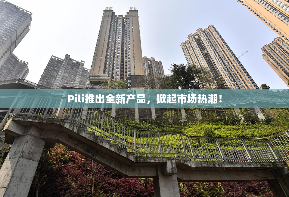 Pili推出全新产品，掀起市场热潮！