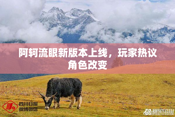 阿轲流眼新版本上线，玩家热议角色改变