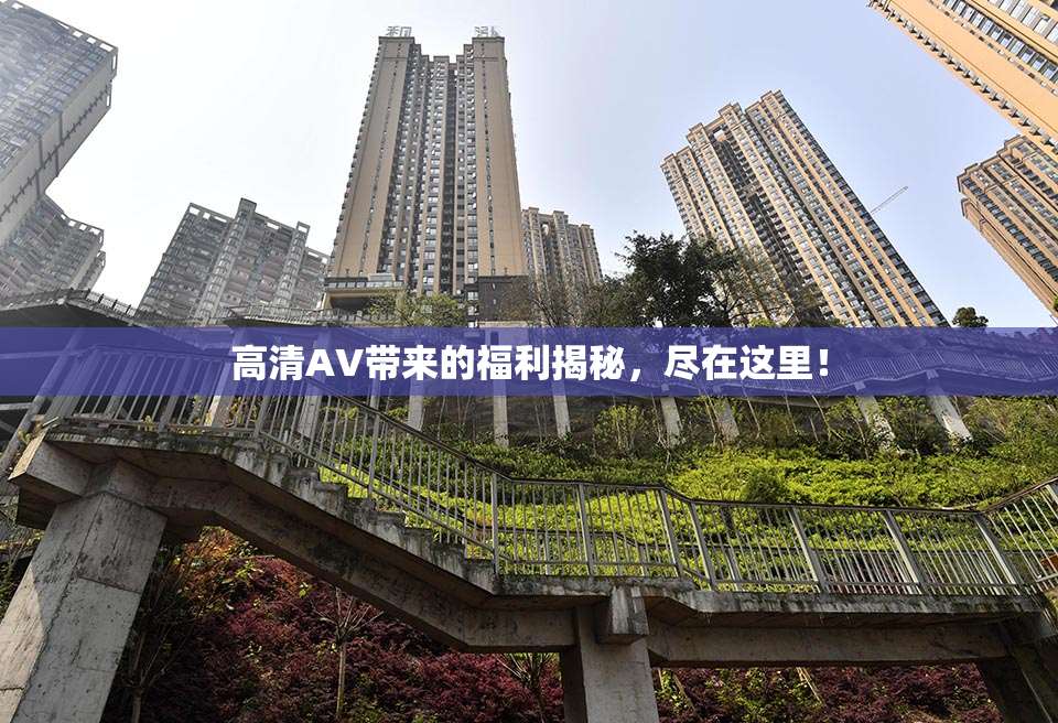 高清AV带来的福利揭秘，尽在这里！