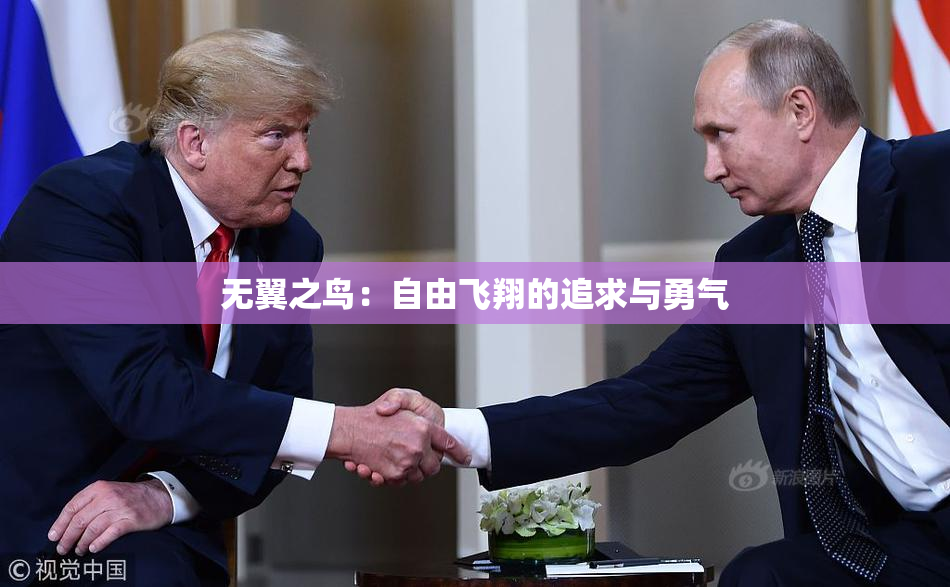 无翼之鸟：自由飞翔的追求与勇气