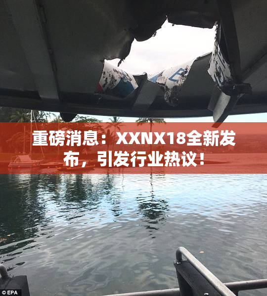重磅消息：XXNX18全新发布，引发行业热议！