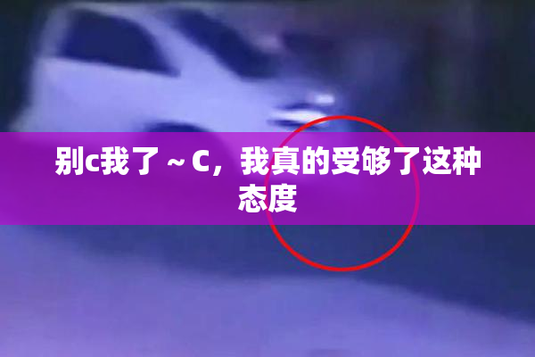 别c我了～C，我真的受够了这种态度
