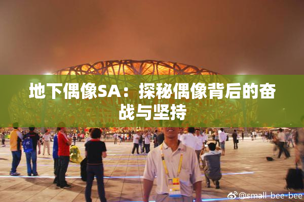 地下偶像SA：探秘偶像背后的奋战与坚持
