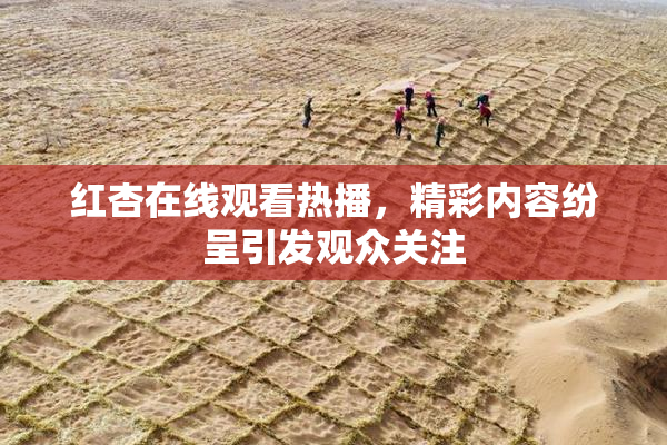 红杏在线观看热播，精彩内容纷呈引发观众关注