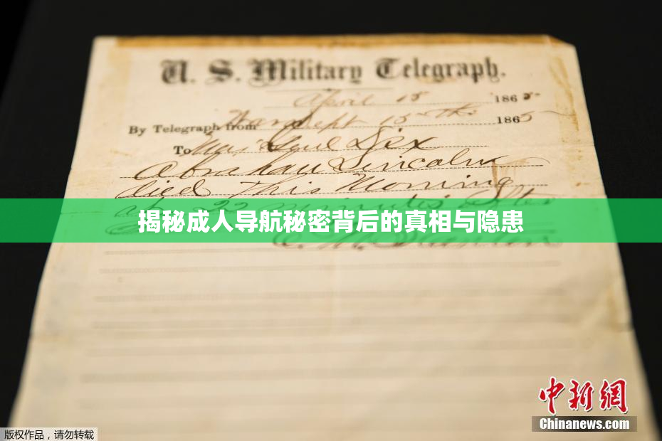 揭秘成人导航秘密背后的真相与隐患