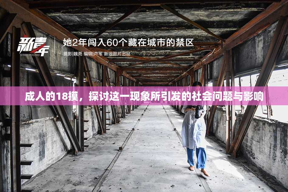 成人的18摸，探讨这一现象所引发的社会问题与影响