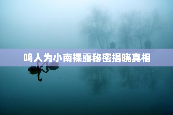 鸣人为小南裸露秘密揭晓真相