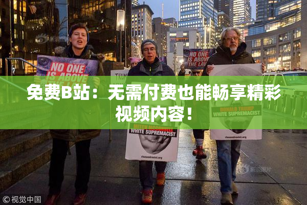 免费B站：无需付费也能畅享精彩视频内容！