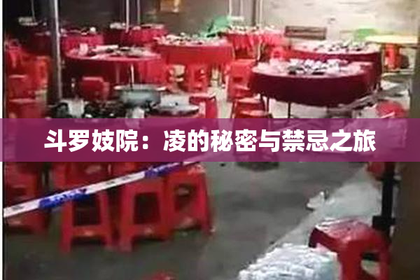 斗罗妓院：凌的秘密与禁忌之旅