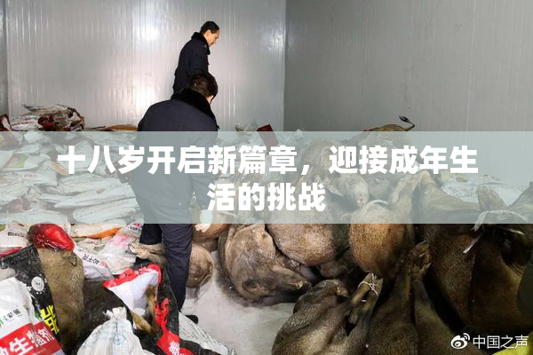 十八岁开启新篇章，迎接成年生活的挑战