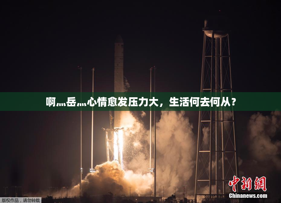 啊灬岳灬心情愈发压力大，生活何去何从？