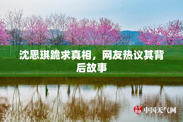 沈思琪跪求真相，网友热议其背后故事