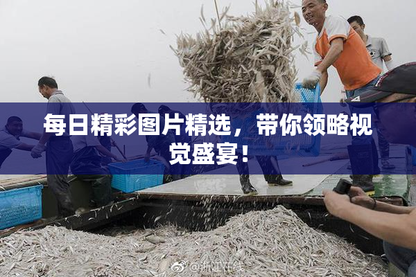 每日精彩图片精选，带你领略视觉盛宴！