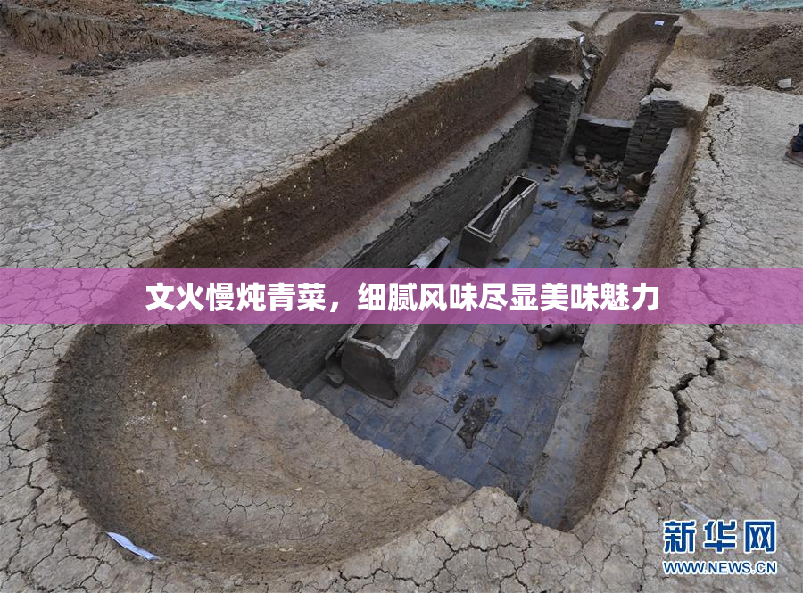 文火慢炖青菜，细腻风味尽显美味魅力