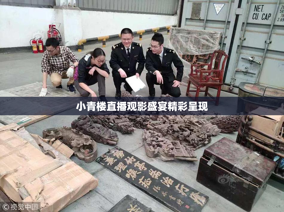 小青楼直播观影盛宴精彩呈现