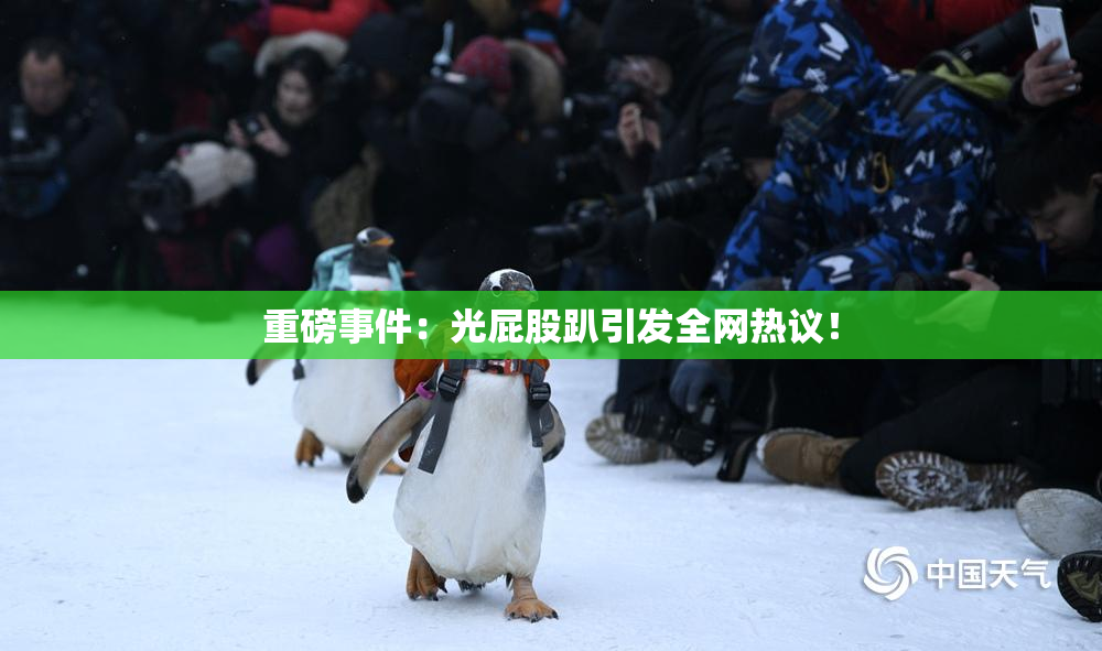 重磅事件：光屁股趴引发全网热议！