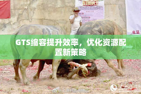 GTS缩容提升效率，优化资源配置新策略