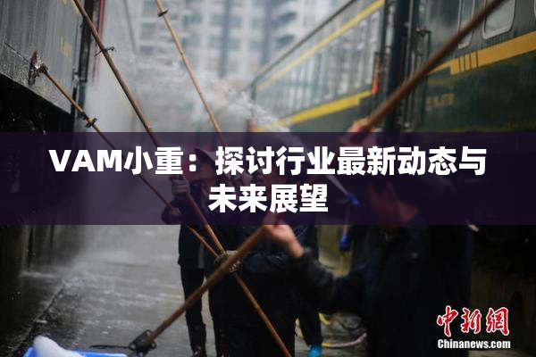 VAM小重：探讨行业最新动态与未来展望