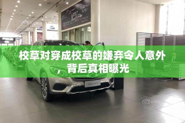 校草对穿成校草的嫌弃令人意外，背后真相曝光