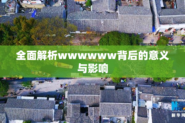 全面解析wwwwww背后的意义与影响