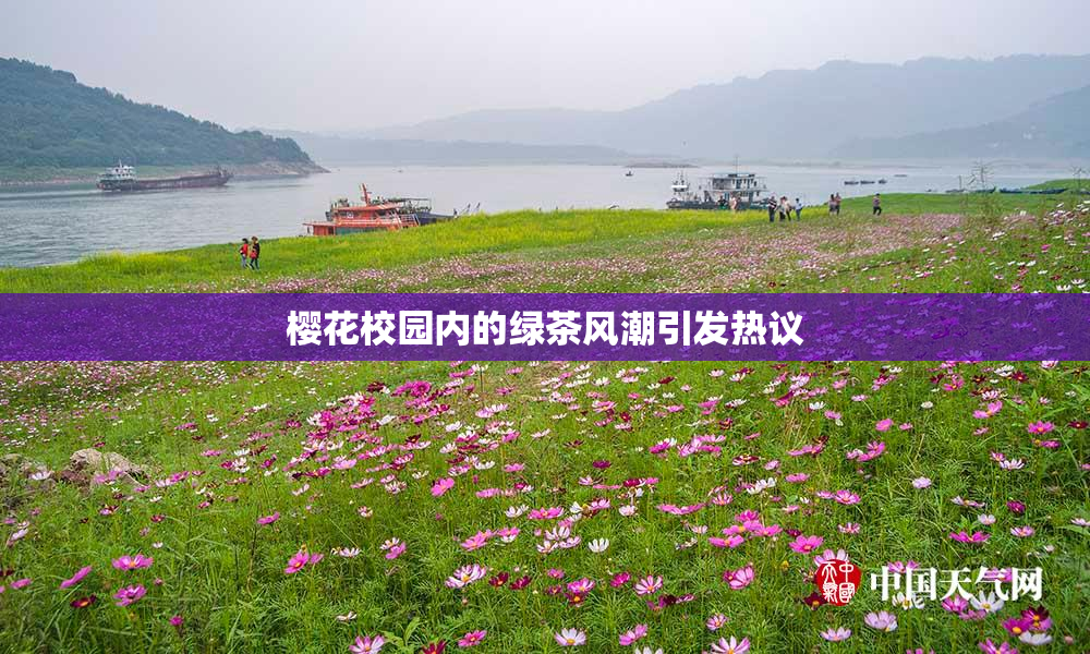 樱花校园内的绿茶风潮引发热议