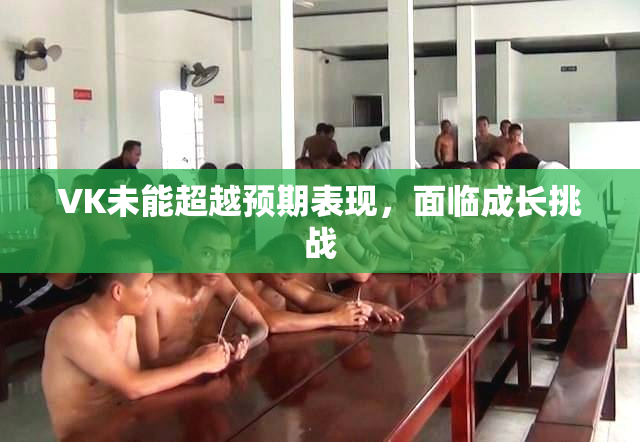 VK未能超越预期表现，面临成长挑战